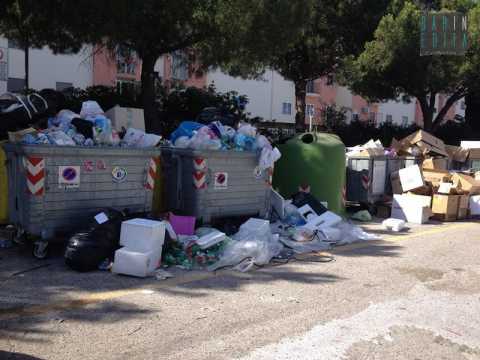 Campus, rifiuti ovunque: Raccolta insufficiente e studenti incivili