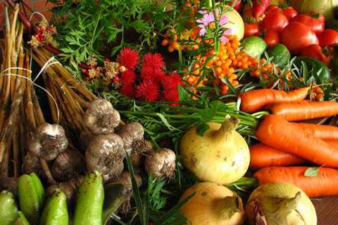 Bari, Villaggio del contadino: 3 giorni di prodotti bio e degustazioni
