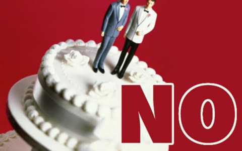 Il ''no'' ai matrimoni tra omosessuali? E' omicidio premeditato: della Libert