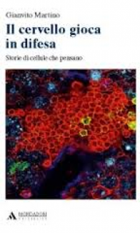 Il cervello gioca in difesa