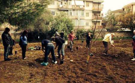 Bari, una piccola campagna tra i palazzi cittadini: è l'orto Effetto terra