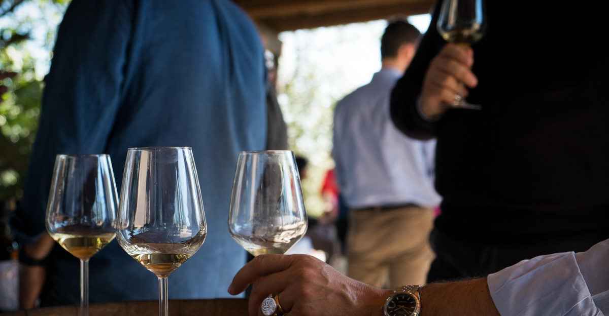 Come Coloro Che Valutano Attentamente I Legami Gli assaggiatori, coloro che valutano il vino: «Ma non confondeteci con