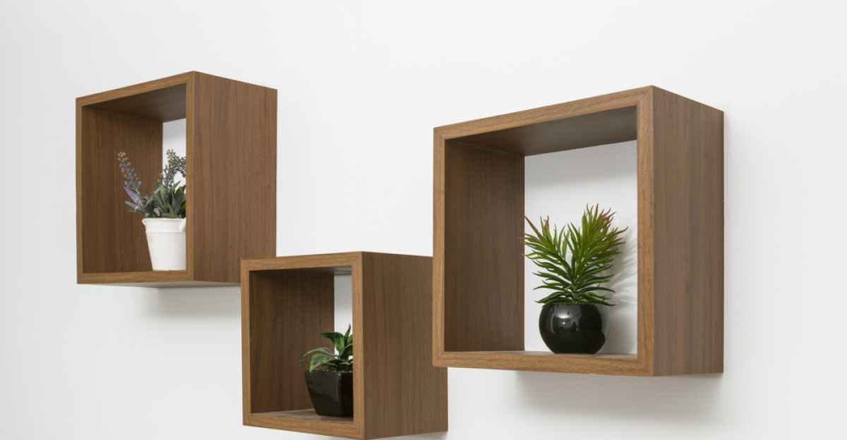 Cubi in legno da parete con piante da interno