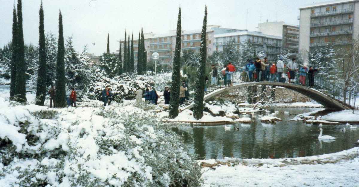 Bari La Storia Del Newyorkese Parco 2 Giugno Aperto Per Sempre In Un Giorno Di Neve Barinedita Testata Giornalistica Online
