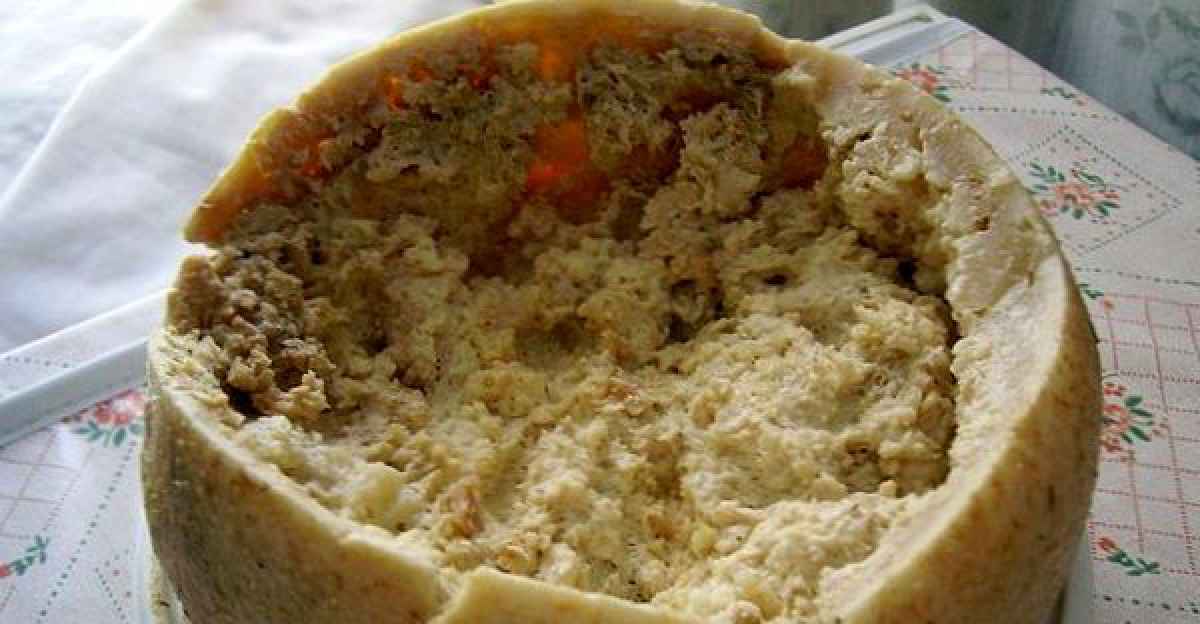 Il Formaggio Punto Quello Con Le Larve Di Mosca Illegale Ma Ricercatissimo Barinedita Testata Giornalistica Online