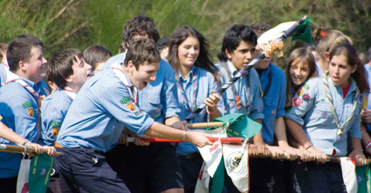 Boy deals scout italia
