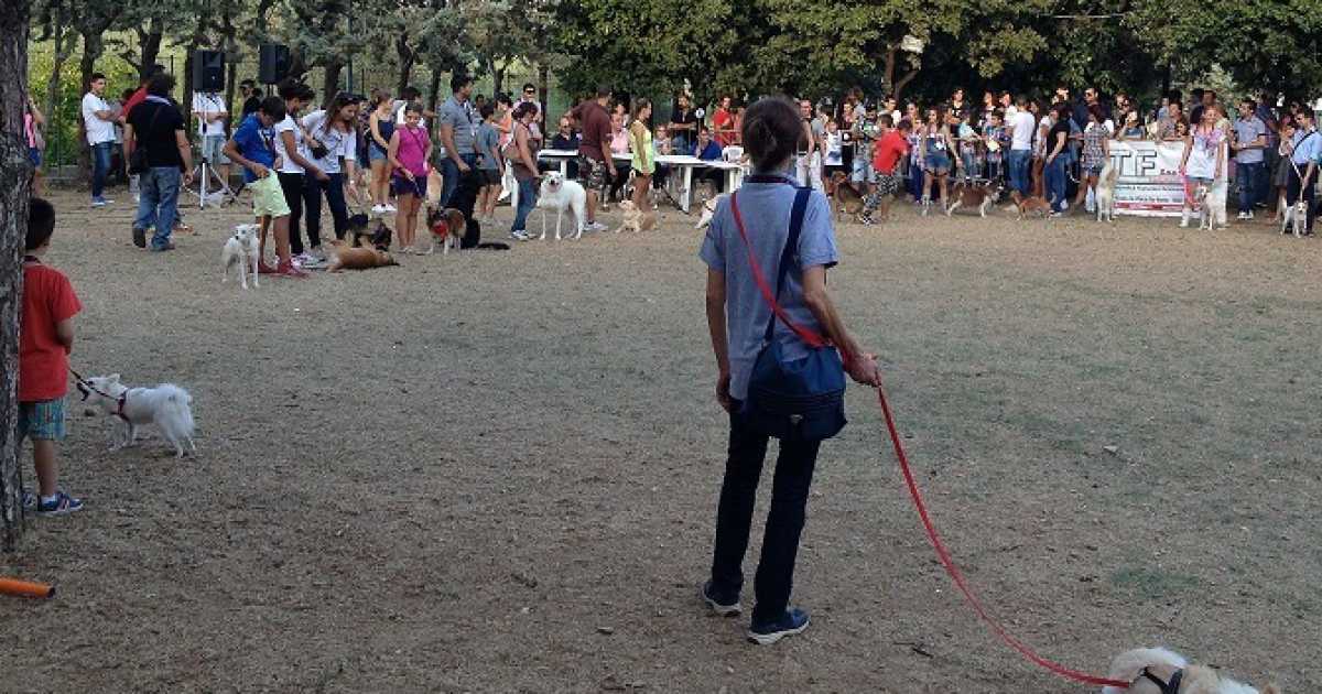 Palo del Colle, ''Festa del cane'' tra divertimento e riflessione