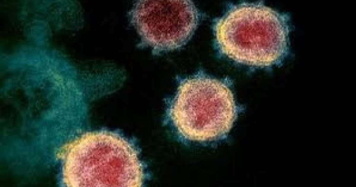 Coronavirus, 82 i nuovi casi in Puglia: positivo il 3,8% dei tamponi