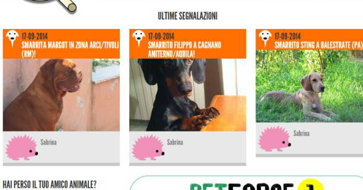 Animale disperso? Basta con volantini e manifesti: oggi ci sono app e gruppi fb 