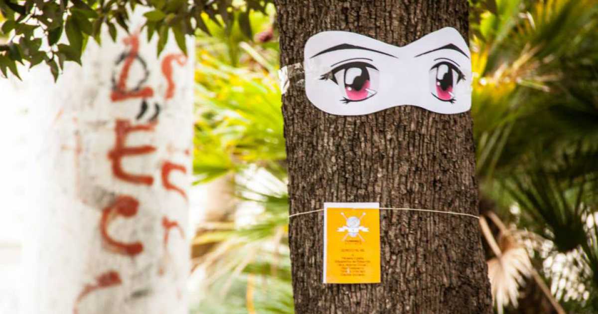 Alberi con gli occhi e panchine che parlano: � ''Femminile plurale''