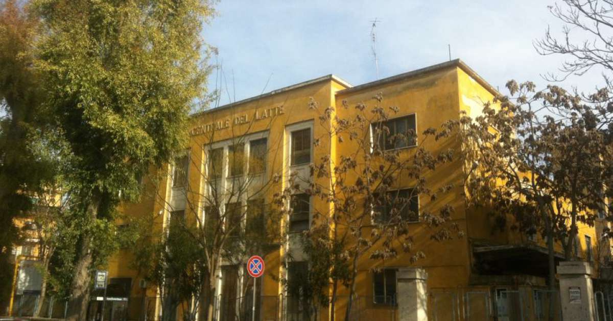 Da Corso Sicilia al Gatto Verde: gli immortali punti di riferimento baresi