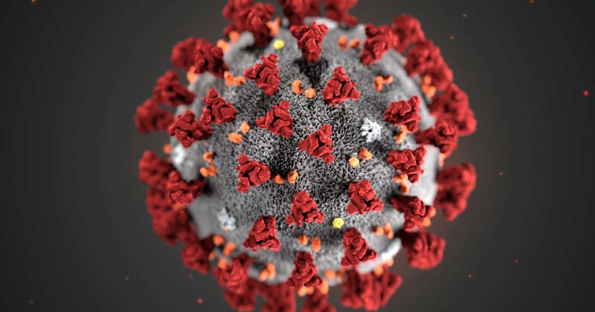 Coronavirus, in Puglia 55 nuovi casi: positivo il 3,1% dei tamponi 