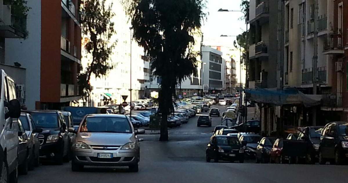 L'eucalipto che divide via Di Tullio: �Un simbolo, ma crea troppi disagi� 