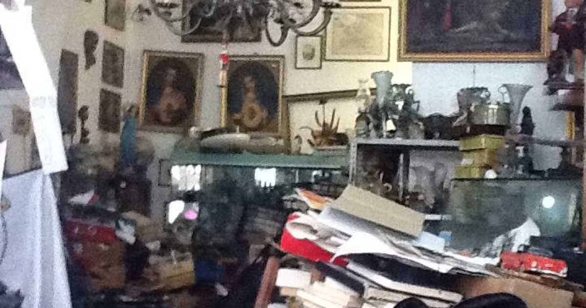 La storia di Nestore, Spillo e la loro bottega del collezionismo ''elegantemente disordinata''