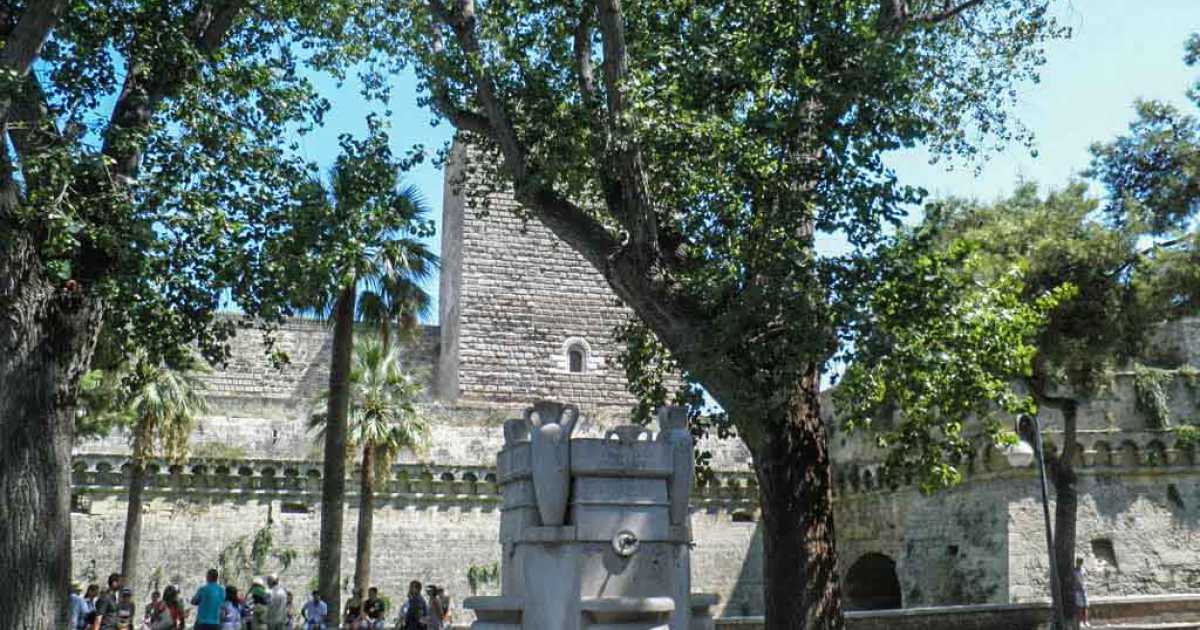 Bari, alberi senza tutela: si attende il censimento dei ''monumentali''