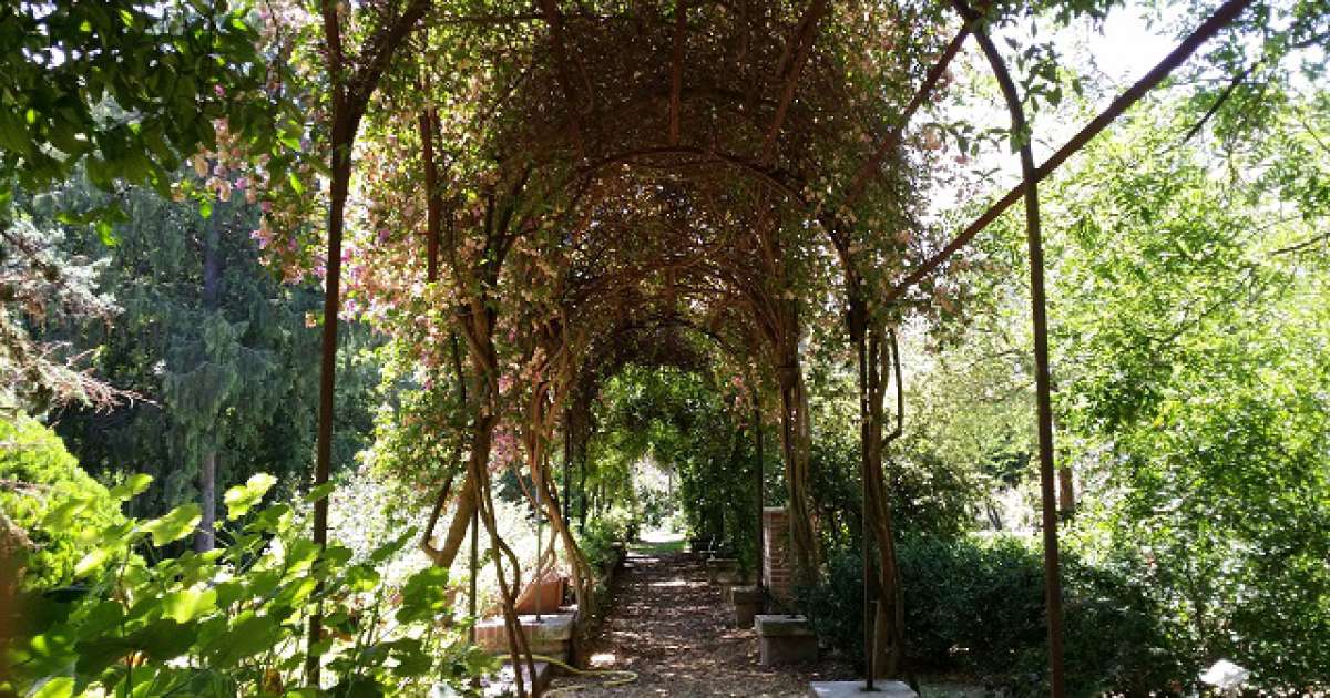 Stagni, boschetti e piante rare: � il museo orto botanico del Campus 