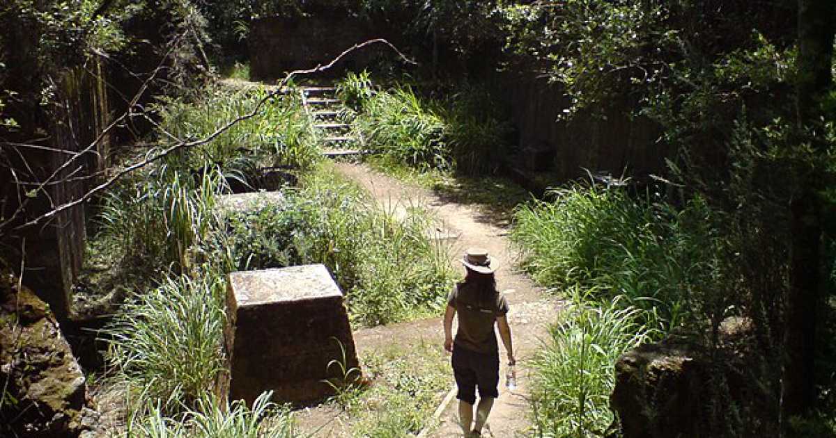 Lo spirito avventuroso di Indiana Jones negli emuli digitali