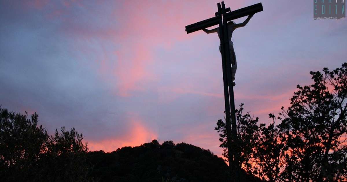 Monopoli, al di l� del cancello un paradiso nascosto e silenzioso: � Monte San Nicola
