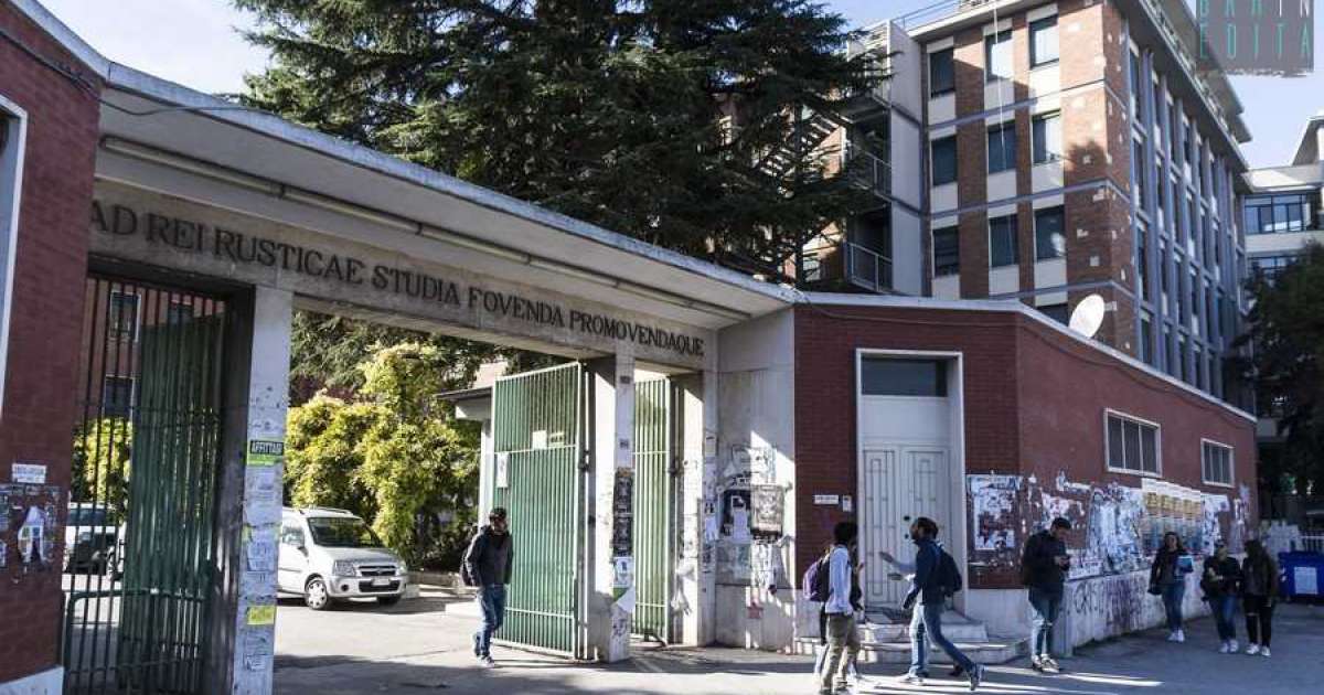 La ''cittadella'' del Campus: l� dove tra verde e musei non sembra di essere a Bari