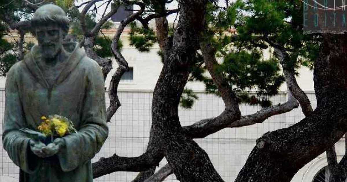 Conventi, campanelli e leggende: tutti i segni della visita di San Francesco a Bari