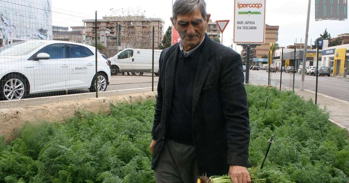 Bari, la zona del Sacrario: dove campi e contadini resistono all'avanzare della citt� 