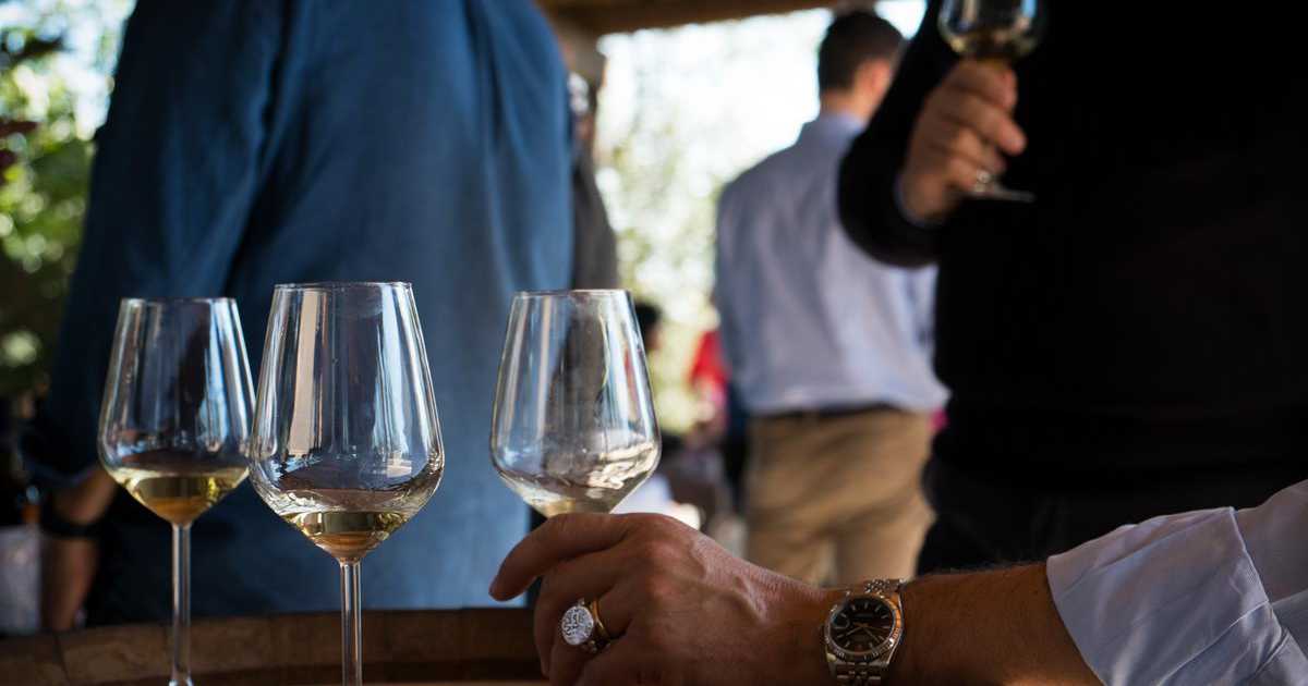 Gli assaggiatori, coloro che valutano il vino: �Ma non confondeteci con i sommelier�