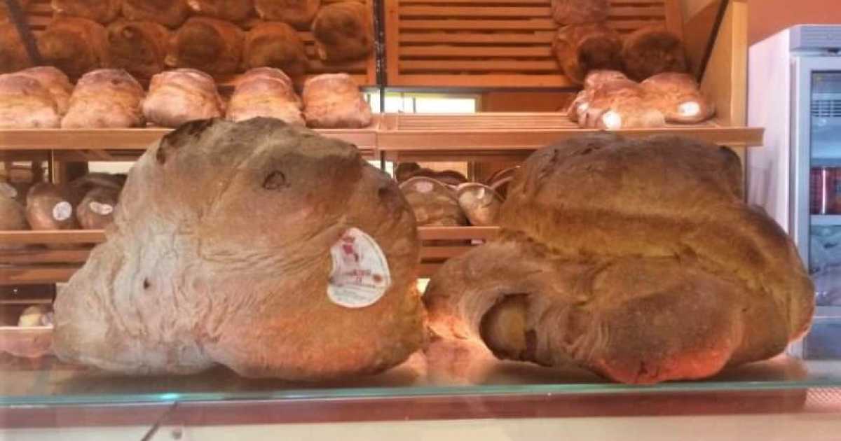 World Bread Day: degustazioni, laboratori e convegni per celebrare il pane di Altamura