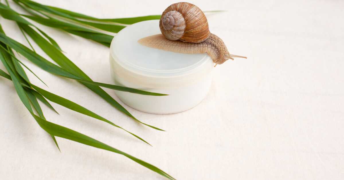 La crema alla bava di lumaca: quando � necessario un prodotto del genere?