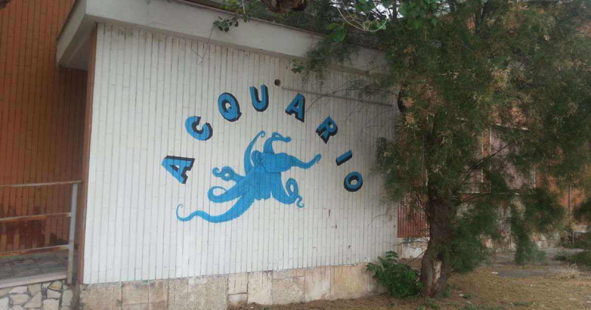 Bari, al Porto riapre ''l'acquario'': visite gratuite tutti i giorni 