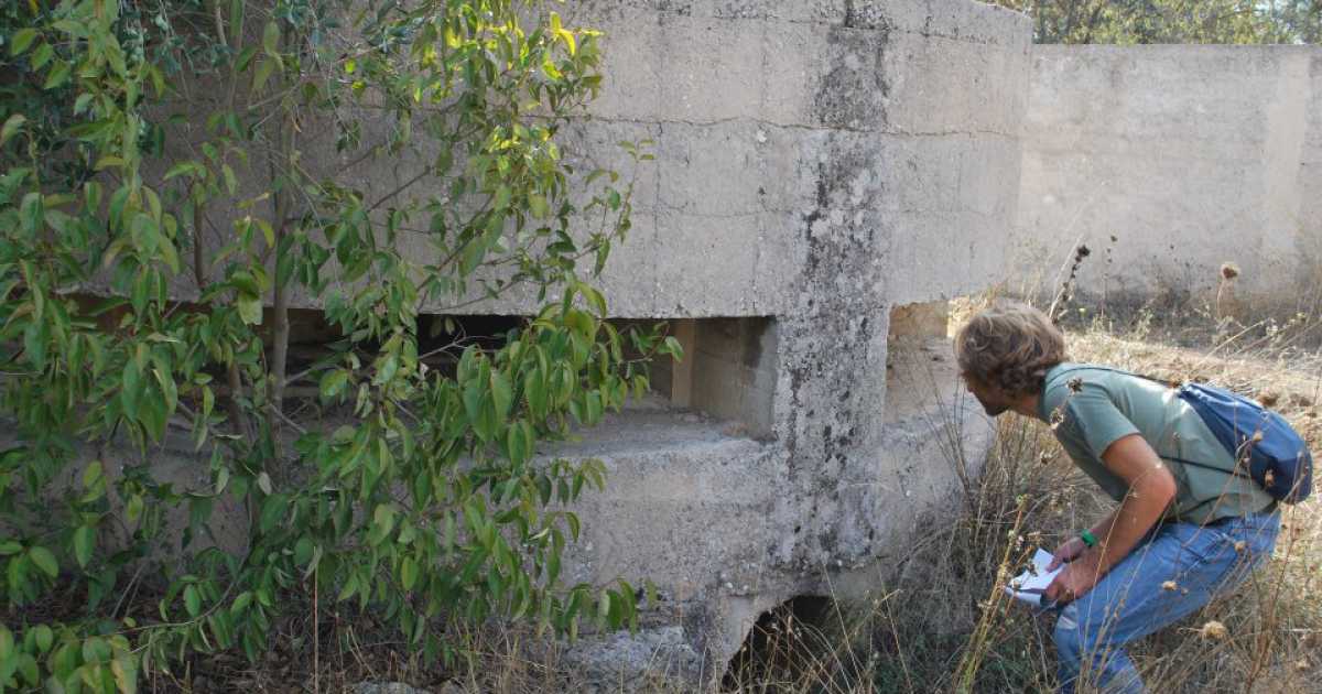 Lamasinata, Barinedita scopre un mondo sotterraneo: bunker, tunnel, armi ed ipogei 