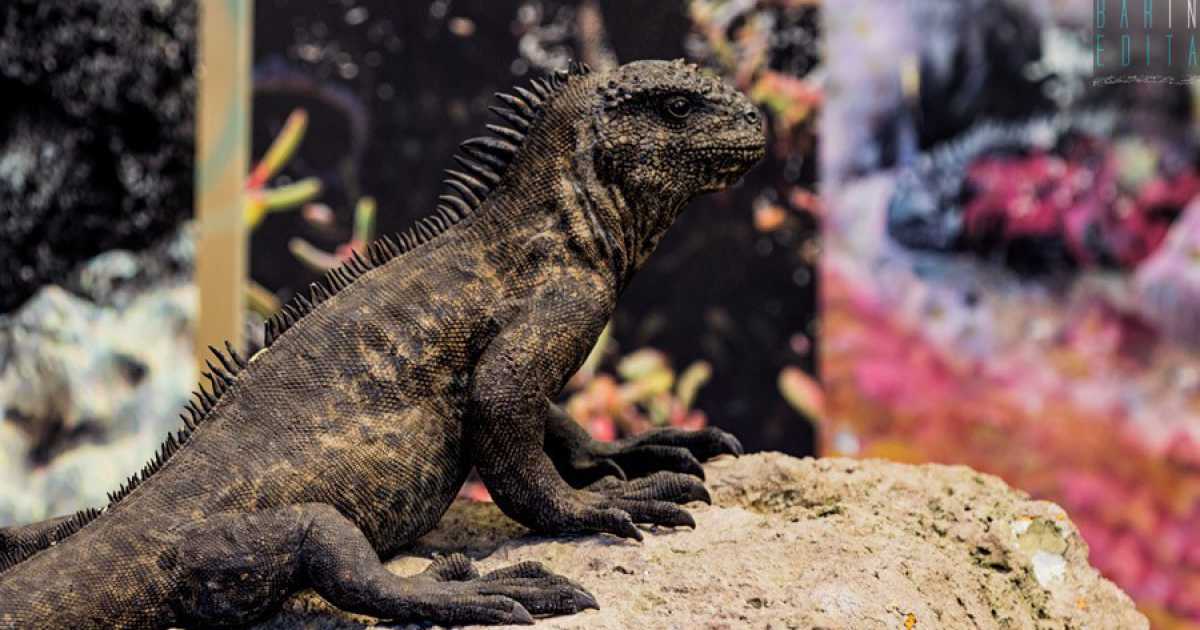 Animali, motori e chiacchierate con gli astronauti: � la Cittadella della scienza di Bari