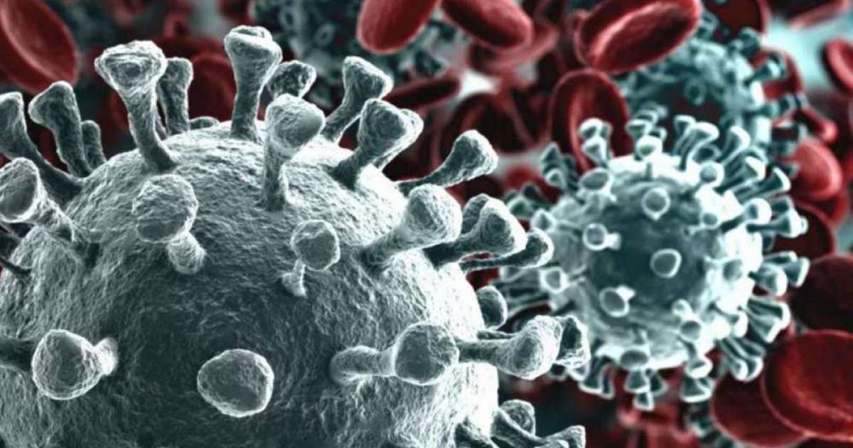 Coronavirus, in Puglia 120 nuovi casi: sale a 906 il numero dei contagiati