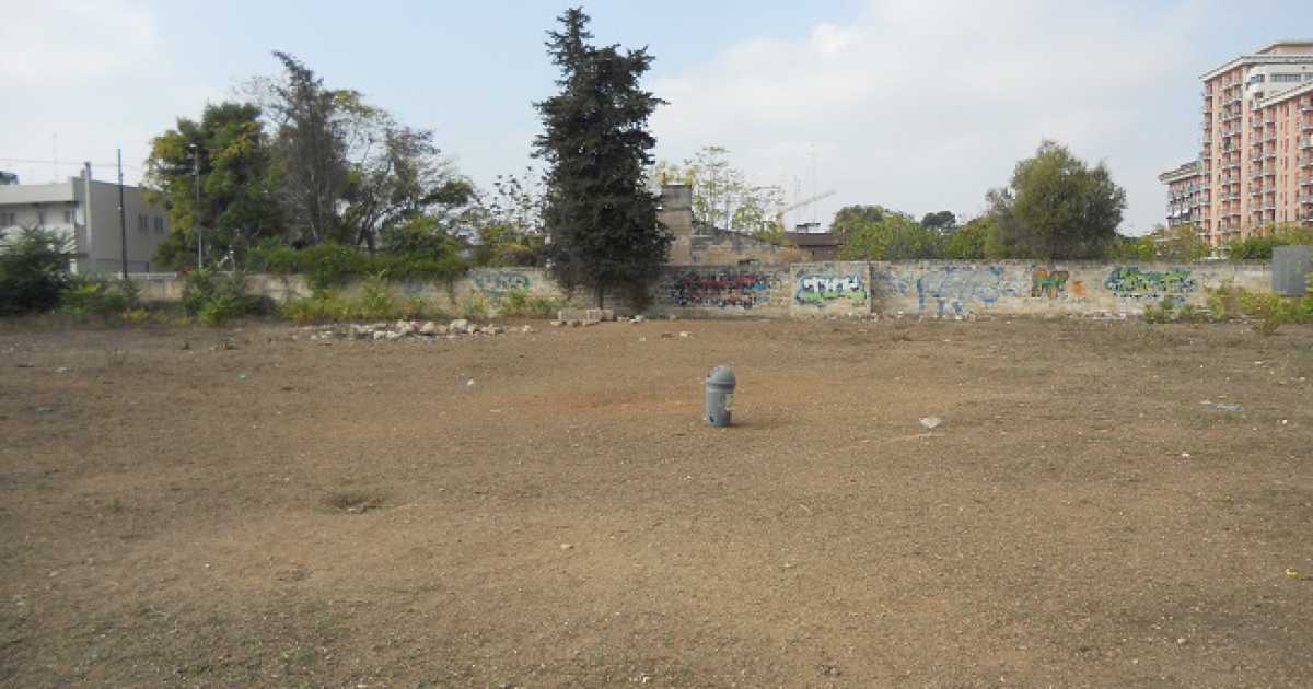 Nessun parco dedicato ai cani? Gruppo di cittadini se ne ''inventa'' uno 