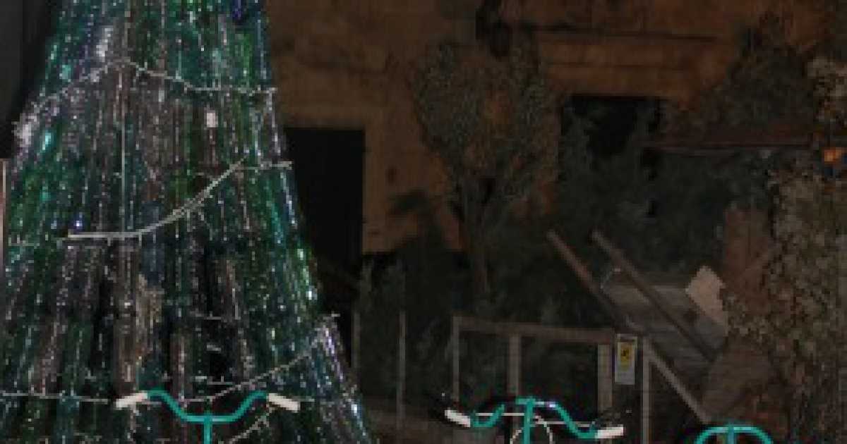 Ruvo di Puglia, in piazza un albero di Natale che si illumina pedalando