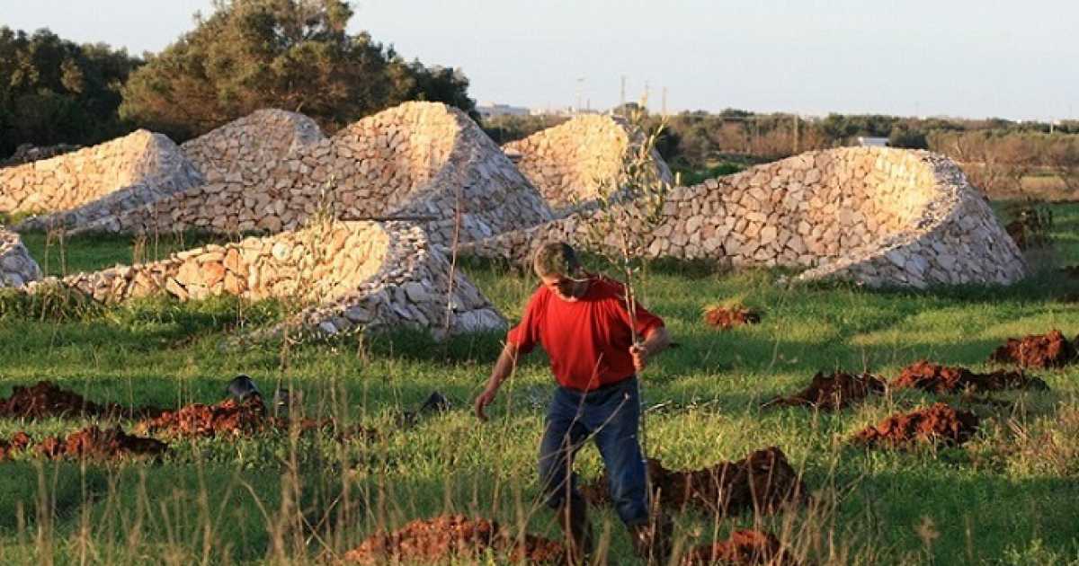 Ugento, mezzelune in pietra che catturano l'acqua: � l'Orto dei Tu'rat