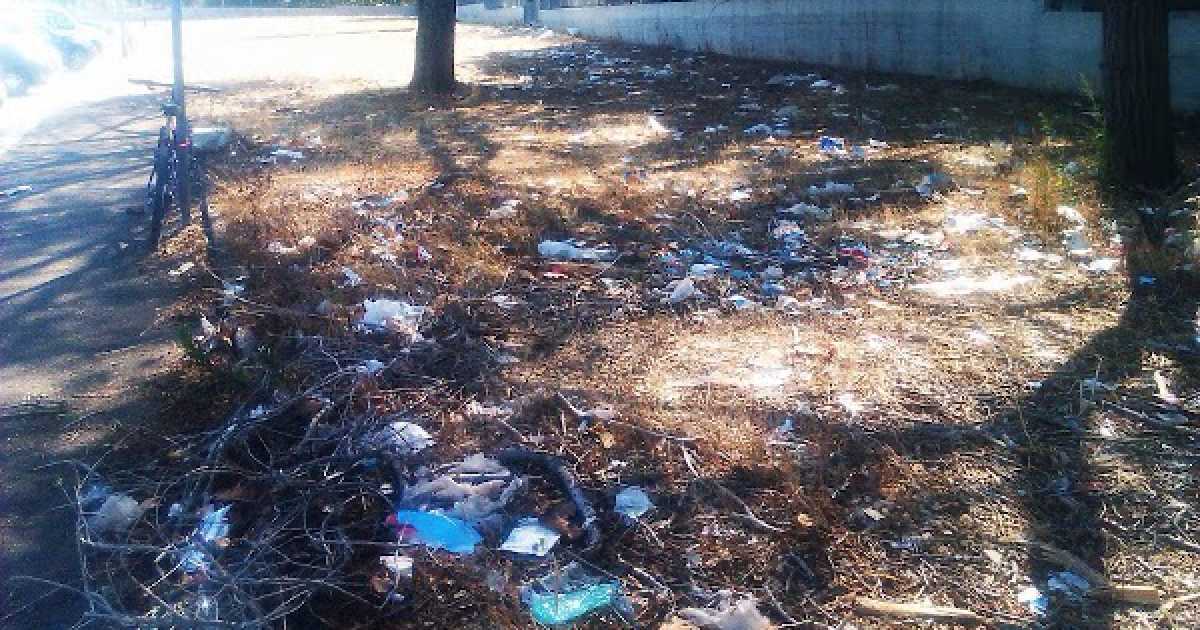 ''Verde in Comune'', sono passati 10 mesi e il progetto non decolla