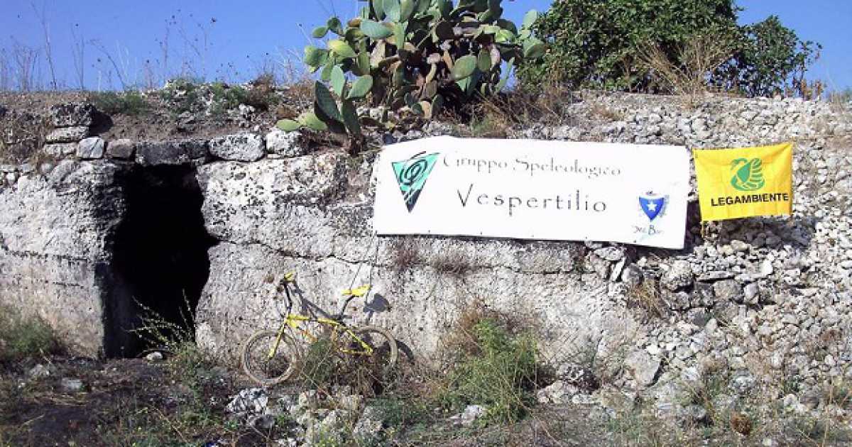 Tra topi e rifiuti, lo stato di abbandono dell'ipogeo La Caravella