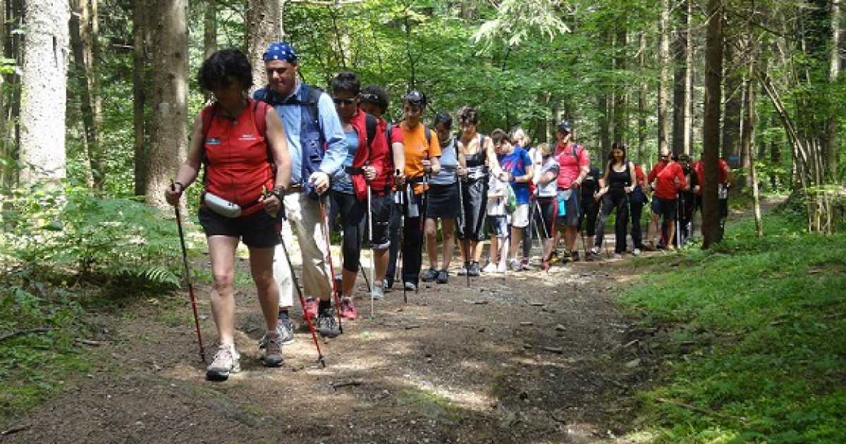 Il Nordic Walking: camminare nella natura simulando lo sci