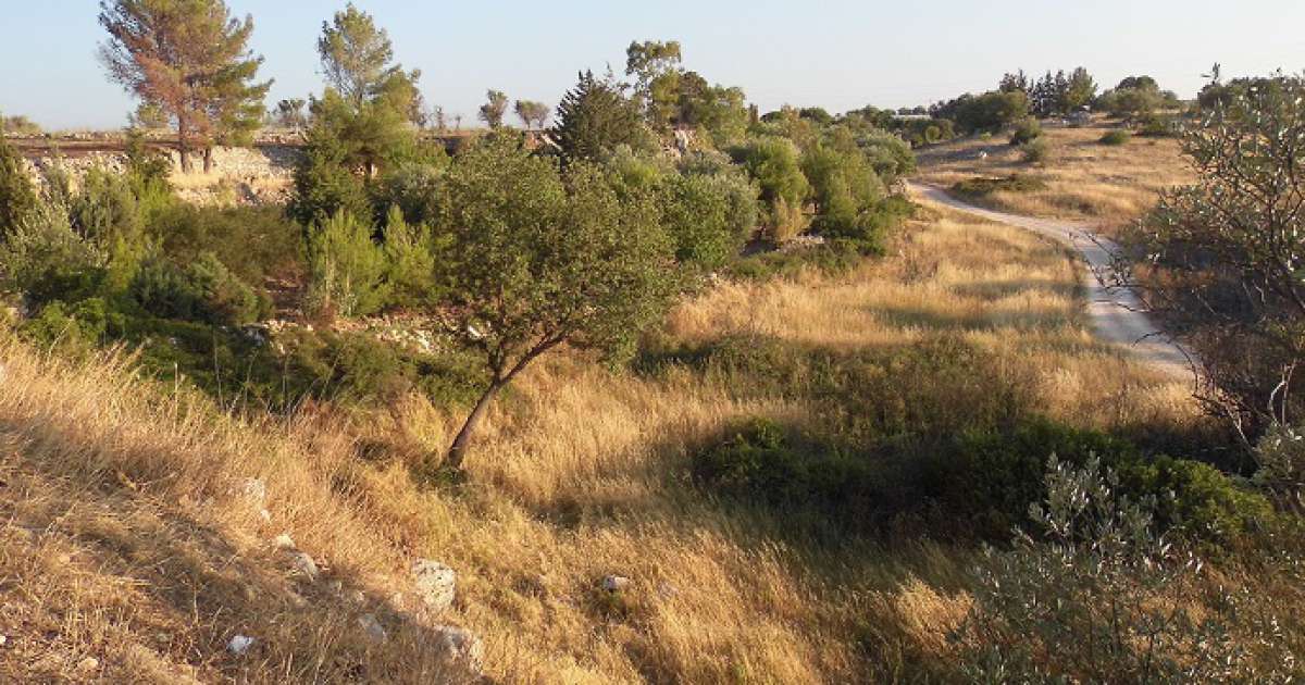 Acque di scarico nella Lama San Giorgio: �Diciamo no, � un'assurdit�