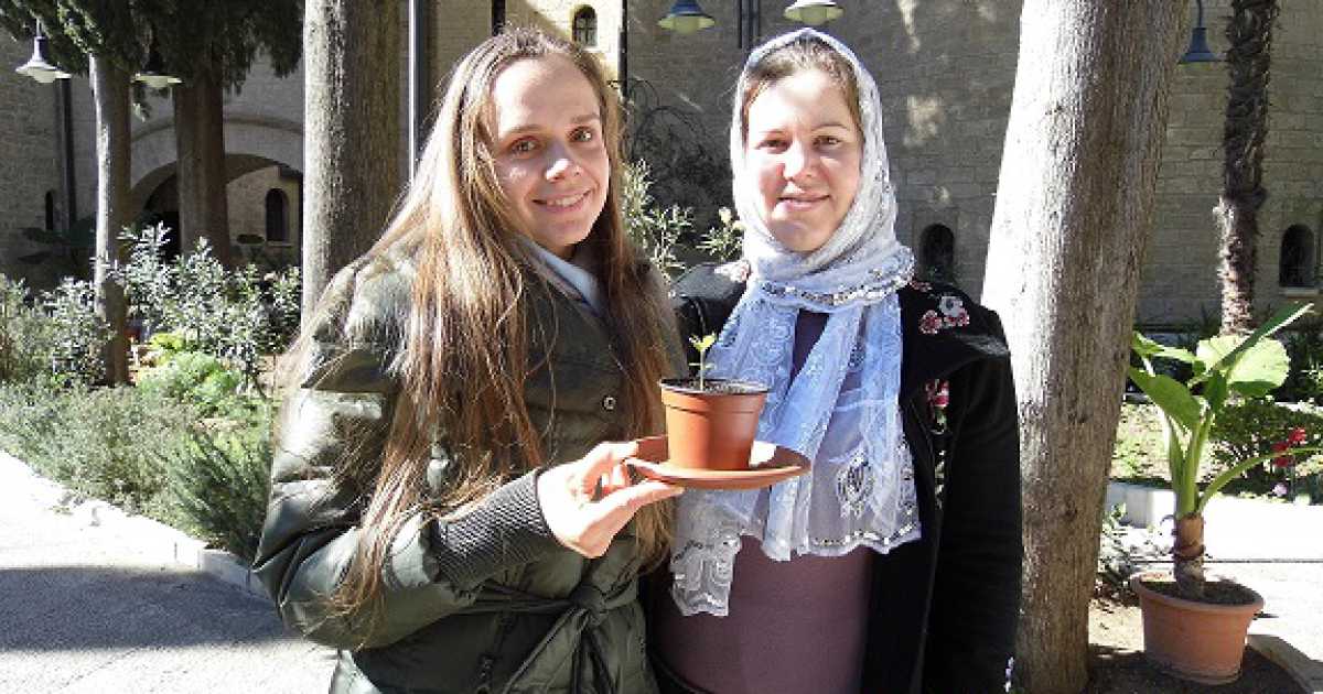 La ''quercia elegante'' fa i suoi figli, una lettone li cura nella Chiesa Russa