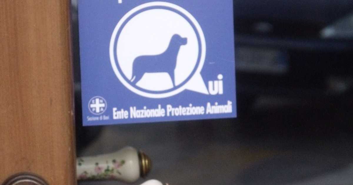 I cani? A Bari possono entrare in uffici e negozi, ma nessuno lo sa