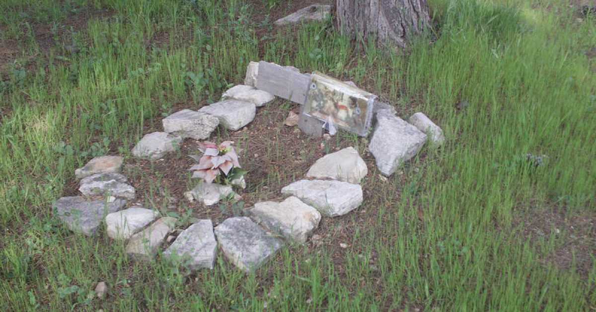 Japigia, cimitero abusivo per cani: per non gettare ''fido'' in discarica
