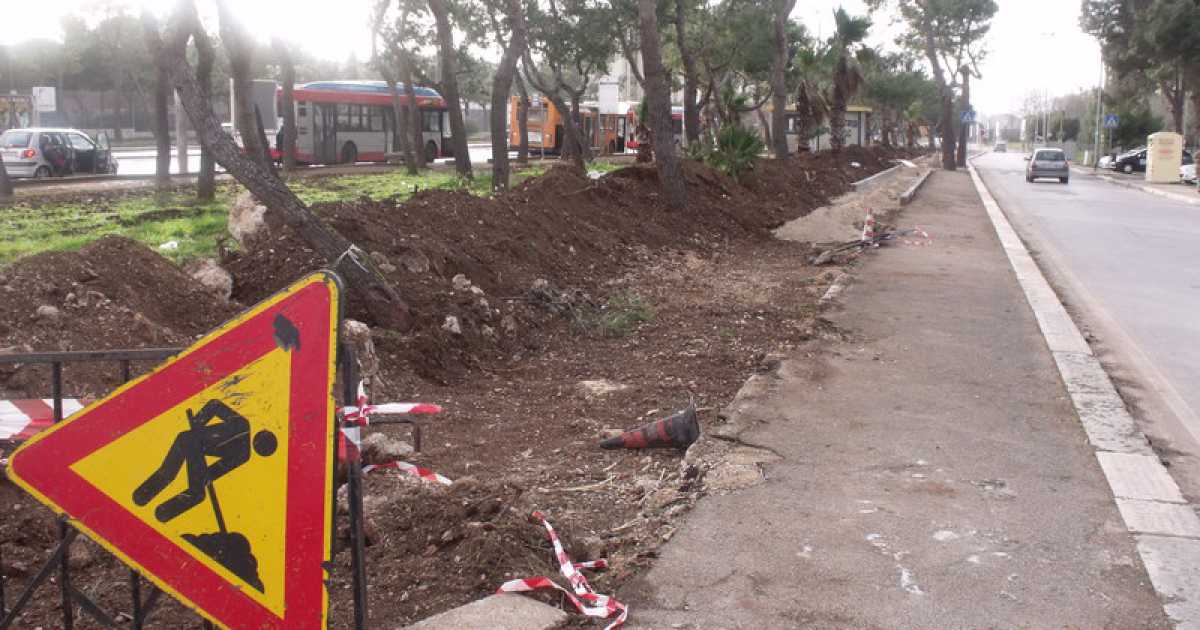 Japigia, per fare la pista ciclabile si abbattono gli alberi