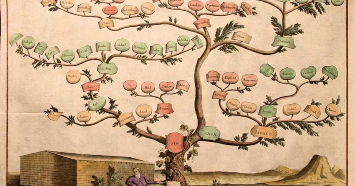 Da Amoruso a Cassano, da Fiore a Lorusso: ma qual � l'origine dei cognomi baresi?