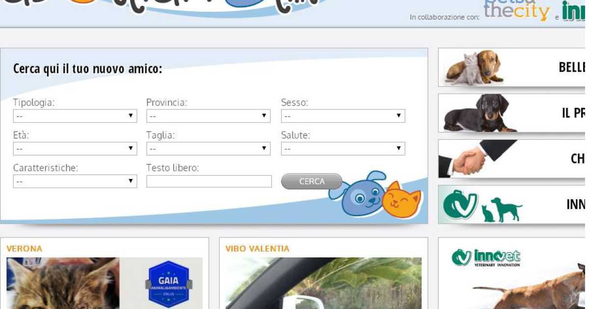 ''Adottiamoli'': su internet scegli un randagio per taglia, sesso ed et�