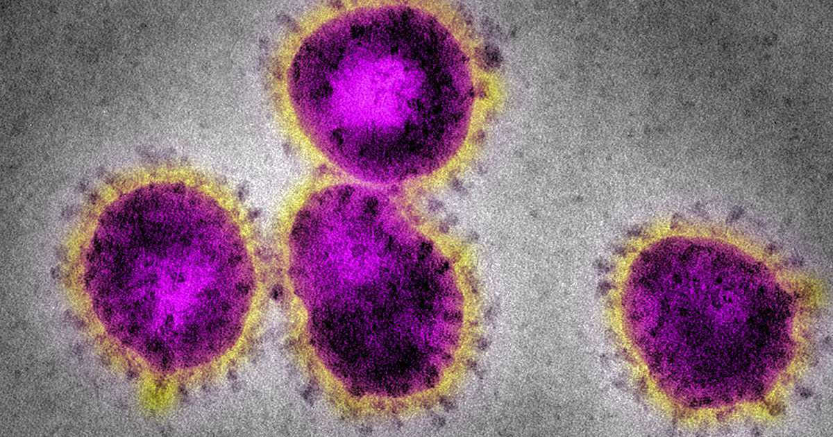 Coronavirus, 111 i nuovi casi in Puglia: i contagi salgono a 786