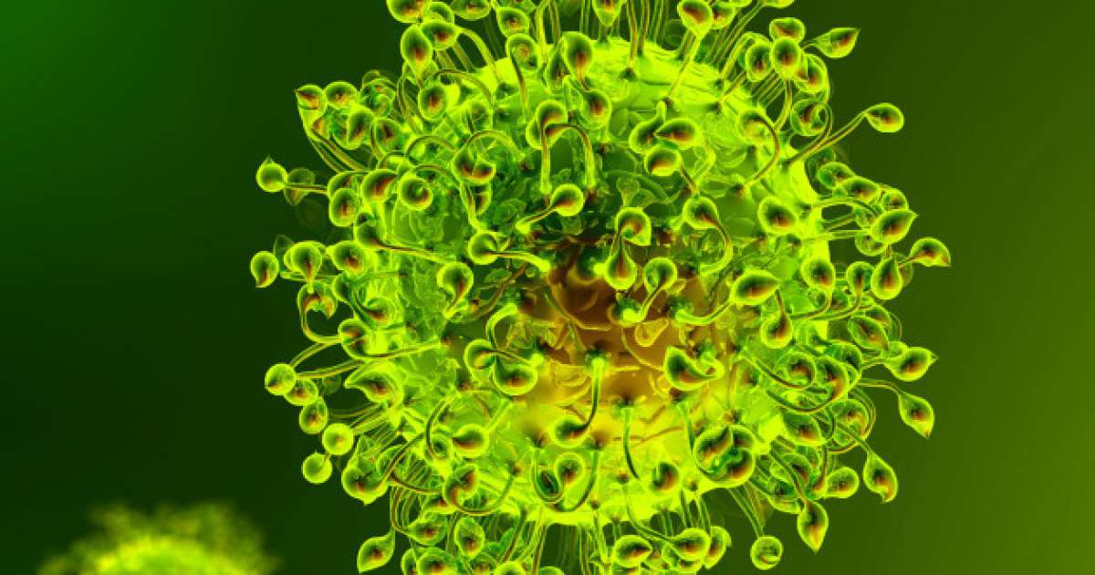 Coronavirus, in Puglia 11 nuovi casi: positivo lo 0,60% dei tamponi