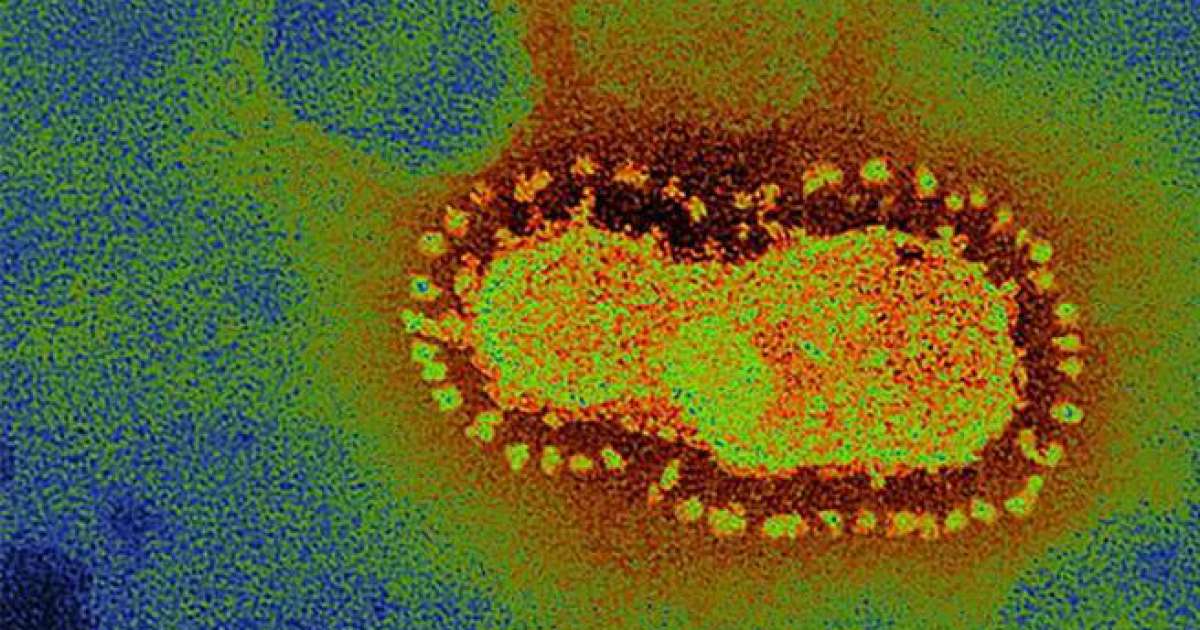 Coronavirus, in Puglia 4 nuovi casi: positivo lo 0,15% dei tamponi