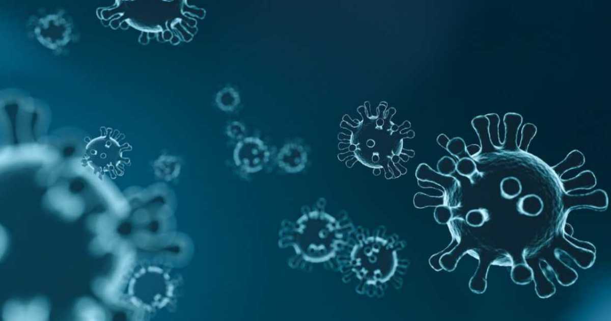 Coronavirus, primo caso a Triggiano: la famiglia dell'uomo in quarantena ma senza sintomi
