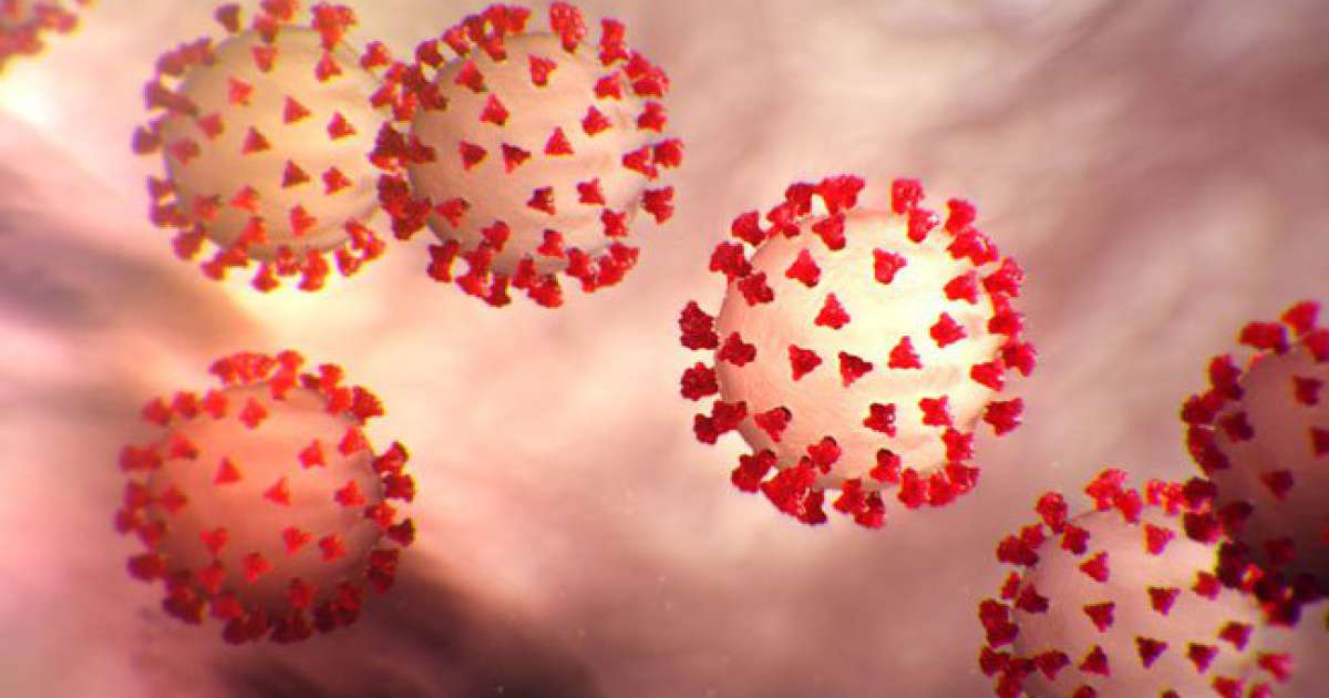 Coronavirus, 42 i nuovi casi in Puglia: positivo il 2% dei tamponi